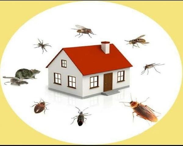 Pest Control Services in Delhi & NCR